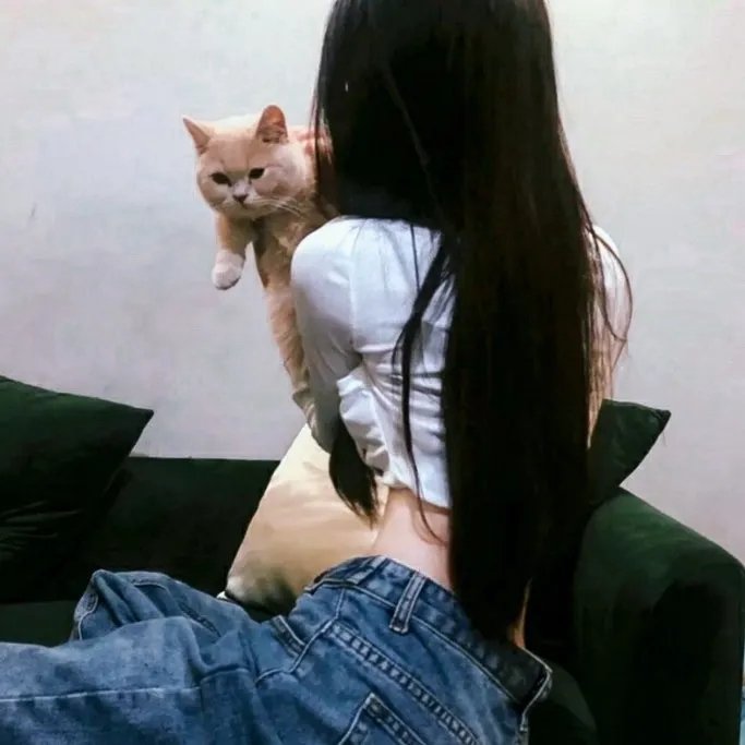 粉雄佐罗